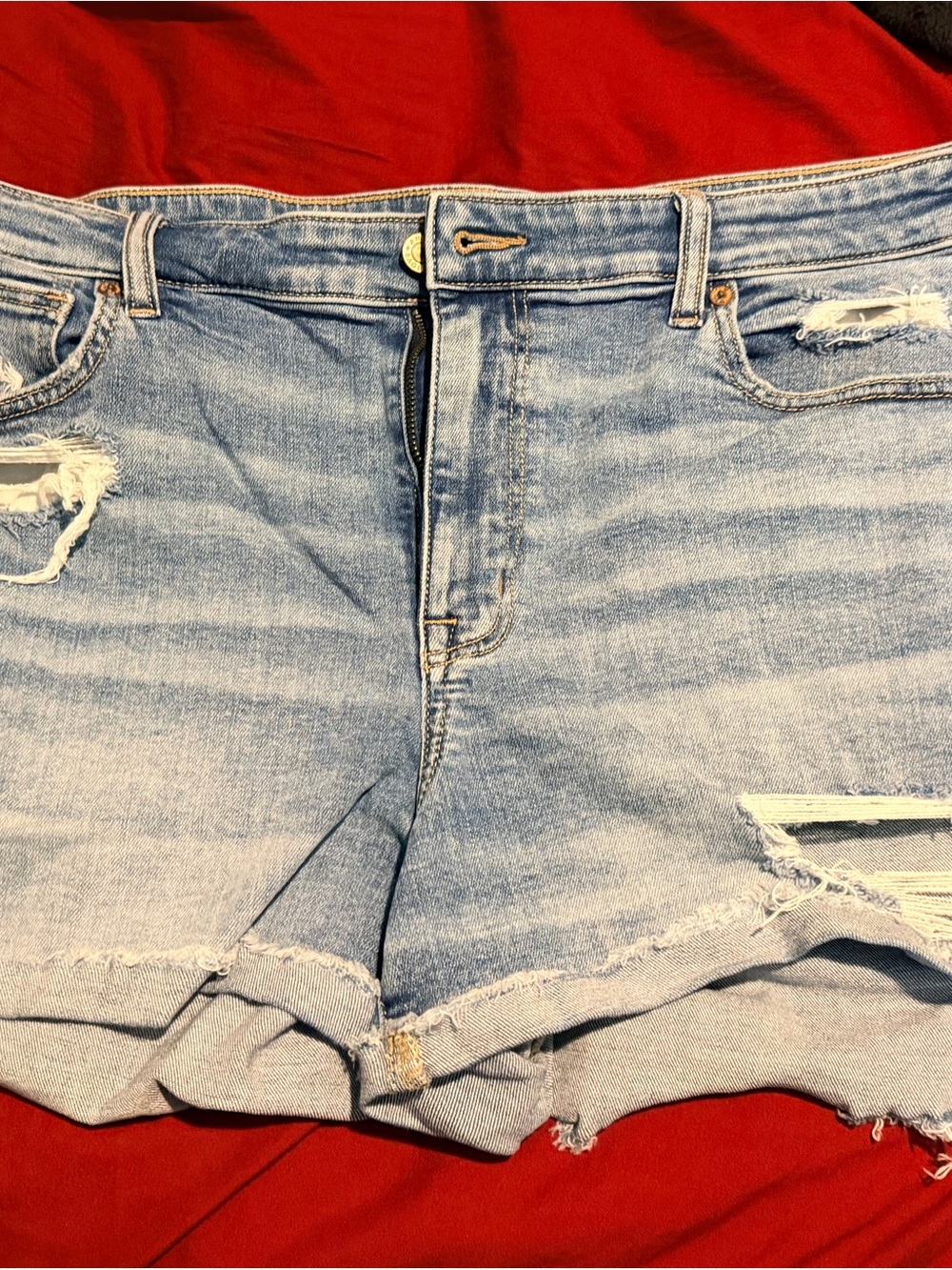American Eagle Outfitters Light Blue Distressed Jean Shorts